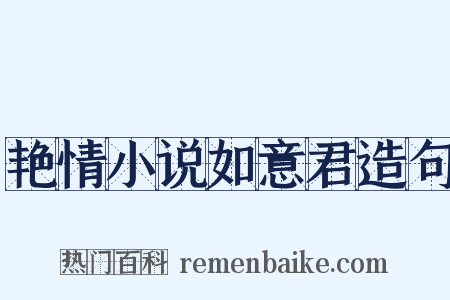 艳情小说如意君造句是什么意思的图片